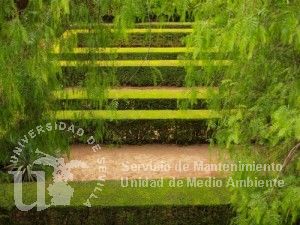 jardines de Sevilla Universidad